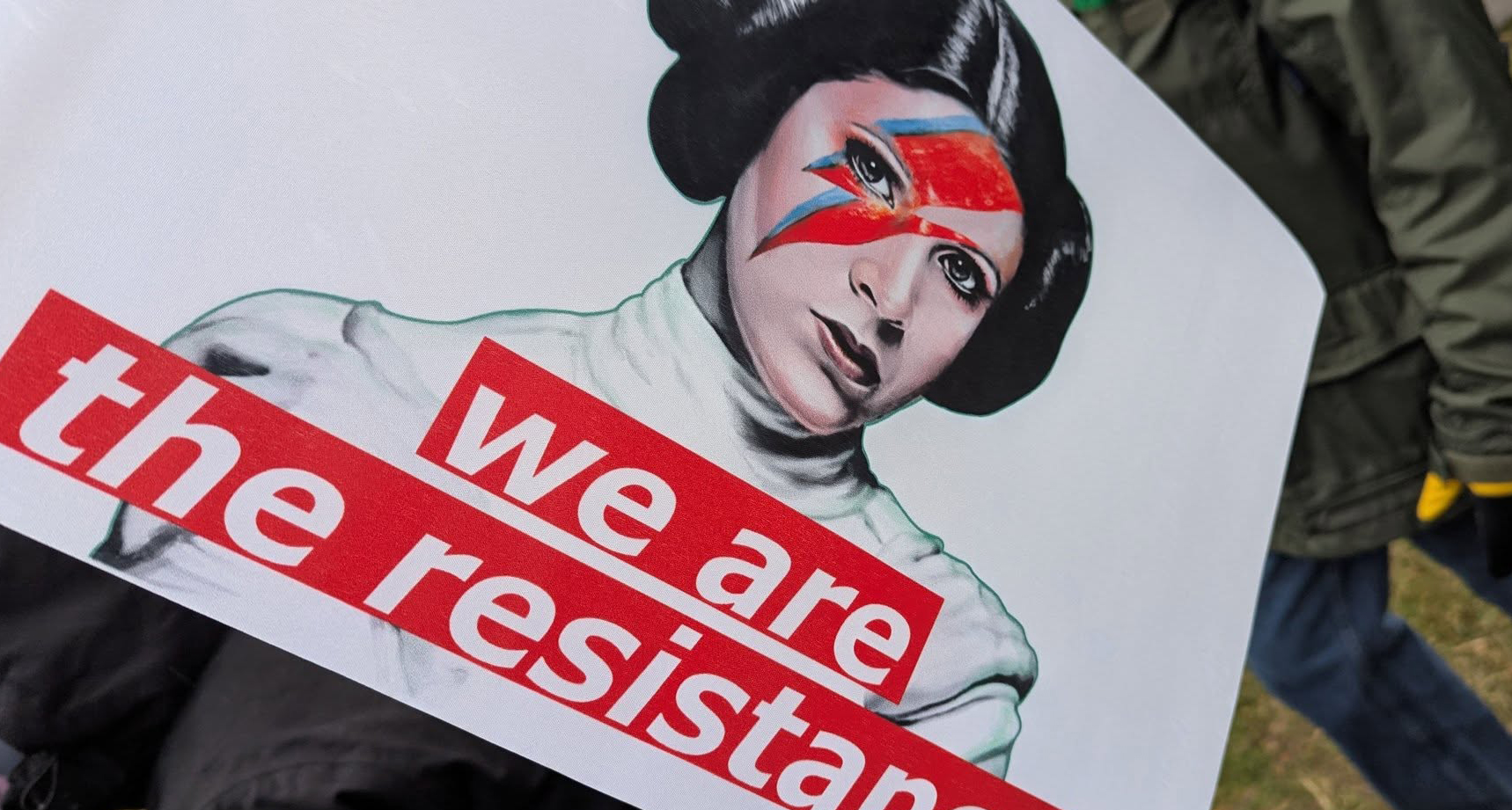 Princess Leia from Star Wars with a David Bowie eye lightening makeup. Message reads We are the Resistance.