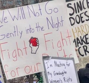 Protest sign displaying: We will not go gently into the Night. Fight, fight for our rights.
