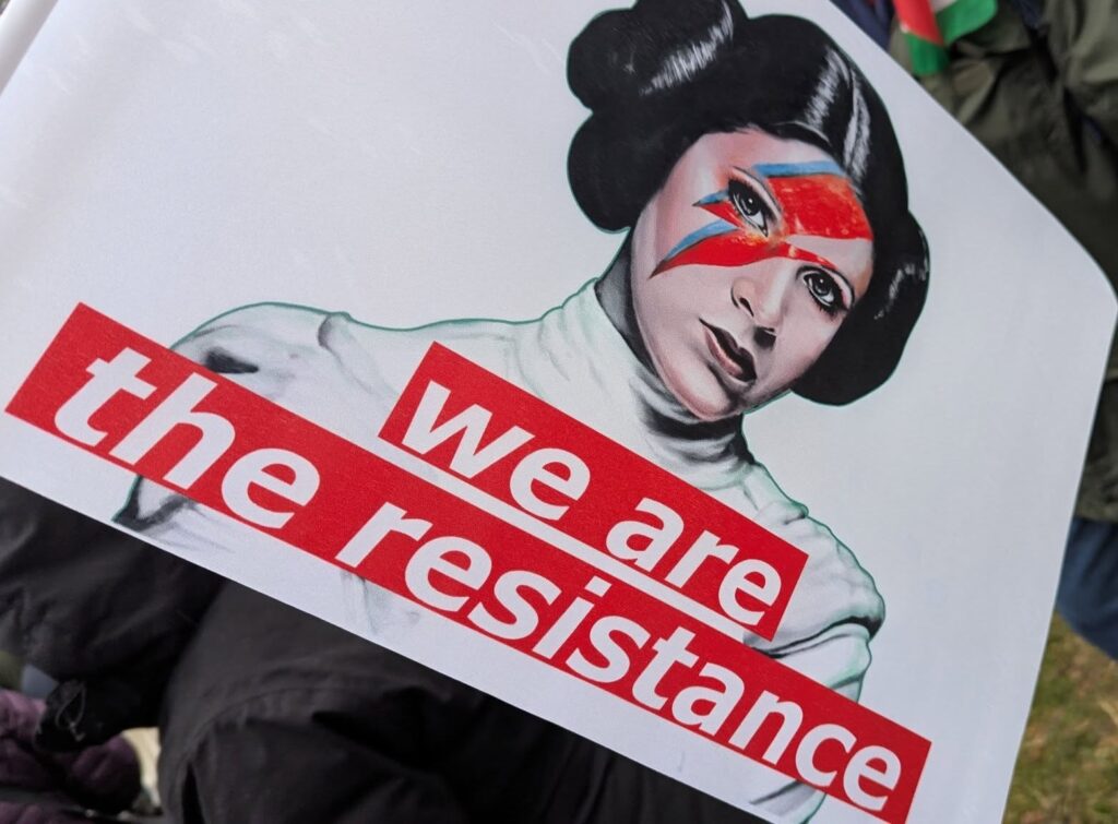Protest sign with Princess Leia with David Bowie lightening eye makeup, and the text, we are the resistance.