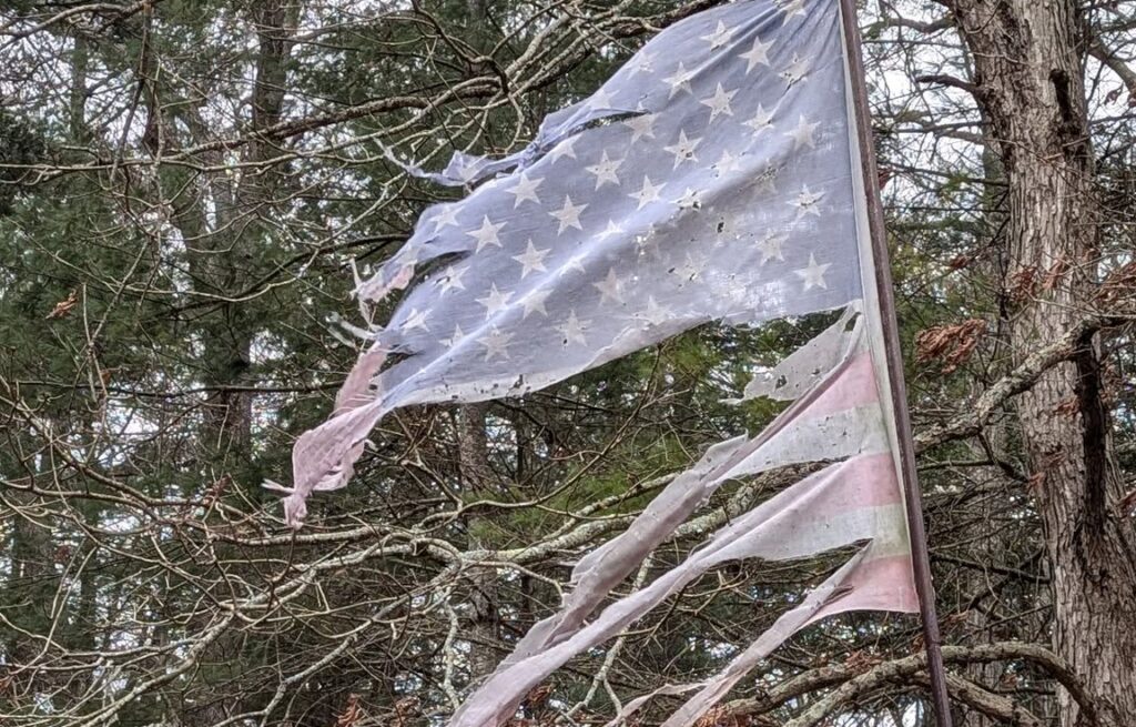 Faded and tattered flag hanging on a pole next to the woods.
